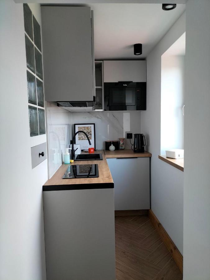Uroczy Apartament W Centrum Krakowa Luaran gambar